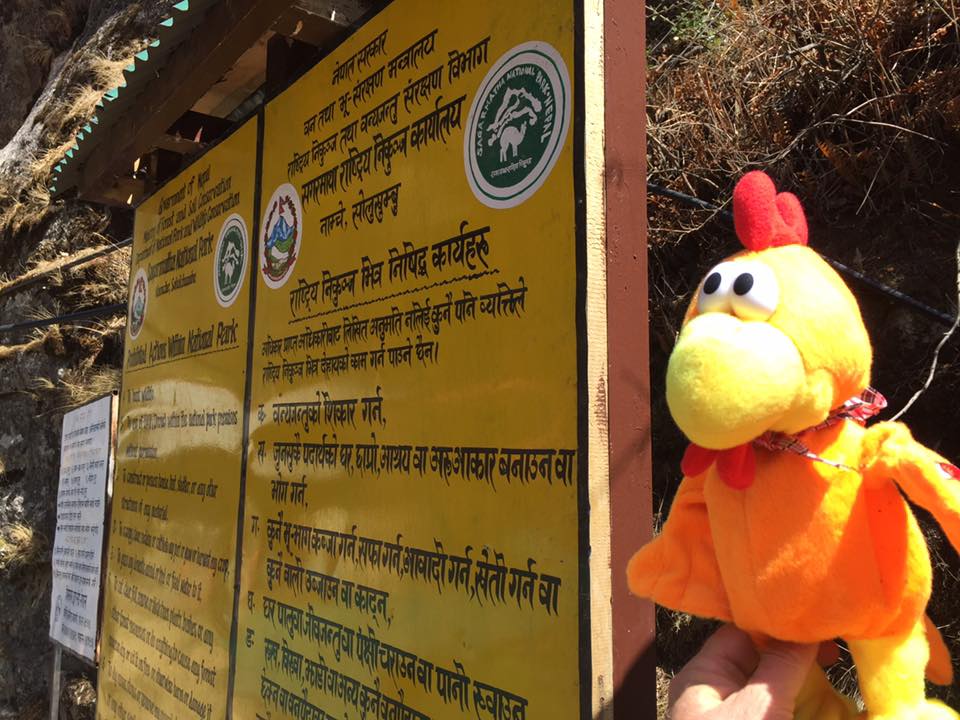 Roger the Reality Rooster at a Sagarmatha National Park signboard in Nepal
